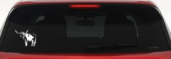 Longhorn Bull Car or Truck Window Vinyl Decal Sticker (White)