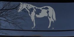 Paint Horse Car or Truck Window Vinyl Decal Sticker (Telegrey)