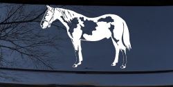 Paint Horse Car or Truck Window Decal Sticker