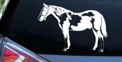 Paint Horse Car or Truck Window Decal Sticker