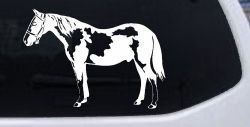 Paint Horse Car or Truck Window Decal Sticker
