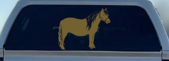 Shelton Pony Car or Truck Window Decal Sticker (Gold)