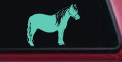 Shelton Pony Car or Truck Window Decal Sticker (Mint)
