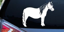 Shelton Pony Car or Truck Window Decal Sticker