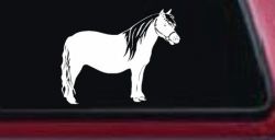 Shelton Pony Car or Truck Window Decal Sticker