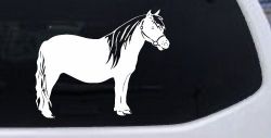 Shelton Pony Car or Truck Window Decal Sticker