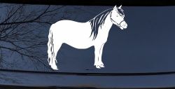 Shelton Pony Car or Truck Window Decal Sticker