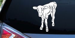 Baby Calf Car or Truck Window Decal Sticker