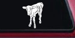 Baby Calf Car or Truck Window Decal Sticker