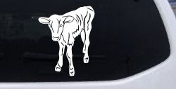 Baby Calf Car or Truck Window Decal Sticker