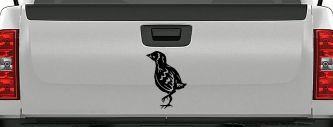 Baby Chick Car or Truck Window Decal Sticker (Black)