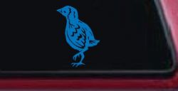 Baby Chick Car or Truck Window Decal Sticker (Sky Blue)