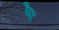 Baby Chick Car or Truck Window Decal Sticker (Turquoise Blue)