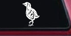 Baby Chick Car or Truck Window Decal Sticker