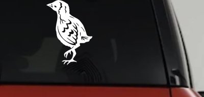 Baby Chick Car or Truck Window Vinyl Decal Sticker