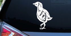 Baby Chick Car or Truck Window Decal Sticker