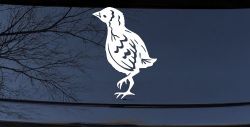 Baby Chick Car or Truck Window Decal Sticker
