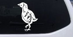 Baby Chick Car or Truck Window Decal Sticker
