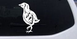 Baby Chick Car or Truck Window Decal Sticker