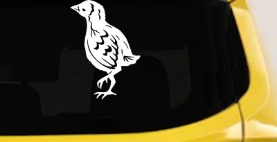 Baby Chick Car or Truck Window Vinyl Decal Sticker