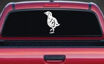 Baby Chick Car or Truck Window Decal Sticker