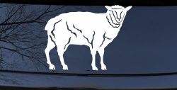 Solid Lamb Car or Truck Window Decal Sticker