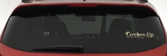 Cowboy Up Or Go Home Western Rodeo Farm Ranch Car or Truck Window Decal Sticker (Desert Sand)