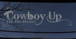 Cowboy Up Or Go Home Western Rodeo Farm Ranch Car or Truck Window Decal Sticker (Telegrey)
