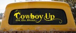 Cowboy Up Or Go Home Western Rodeo Farm Ranch Car or Truck Window Decal Sticker (Yellow)