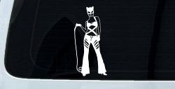 Cat Woman with Whip Car or Truck Window Decal Sticker