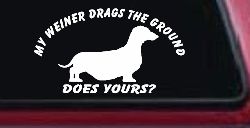 My Weiner Drags the Ground Does Yours Dachshund Dog Car or Truck Window Decal Sticker