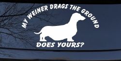 My Weiner Drags the Ground Does Yours Dachshund Dog Car or Truck Window Decal Sticker