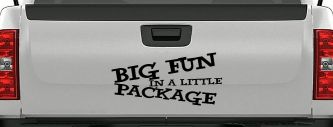 Big Fun In A Little Package Funny Car or Truck Window Decal Sticker (Black)
