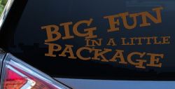 Big Fun In A Little Package Funny Car or Truck Window Decal Sticker (Copper)