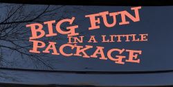 Big Fun In A Little Package Funny Car or Truck Window Decal Sticker (Coral)