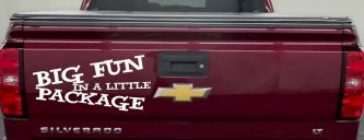 Big Fun In A Little Package Funny Car or Truck Window Decal Sticker (White)