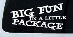 Big Fun In A Little Package Funny Car or Truck Window Decal Sticker
