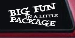 Big Fun In A Little Package Funny Car or Truck Window Decal Sticker