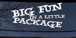Big Fun In A Little Package Funny Car or Truck Window Decal Sticker