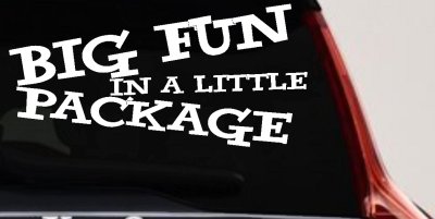 Big Fun In A Little Package Funny Car or Truck Window Vinyl Decal Sticker