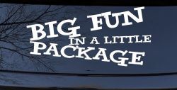 Big Fun In A Little Package Funny Car or Truck Window Decal Sticker