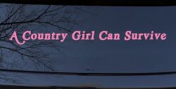 A Country Girl Can Survive Car or Truck Window Decal Sticker (Pink)