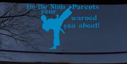 Im The Ninja Your Parents Warned You About Funny Car or Truck Window Vinyl Decal Sticker (Blue)