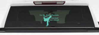 Im The Ninja Your Parents Warned You About Funny Car or Truck Window Decal Sticker (Mint)