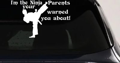 Im The Ninja Your Parents Warned You About Funny Car or Truck Window Vinyl Decal Sticker
