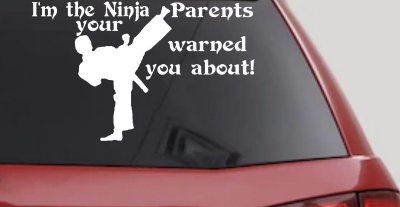 Im The Ninja Your Parents Warned You About Funny Car or Truck Window Vinyl Decal Sticker