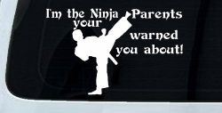 Im The Ninja Your Parents Warned You About Funny Car or Truck Window Decal Sticker