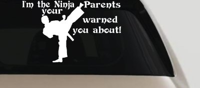 Im The Ninja Your Parents Warned You About Funny Car or Truck Window Vinyl Decal Sticker