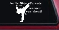 Im The Ninja Your Parents Warned You About Funny Car or Truck Window Decal Sticker