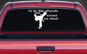 Im The Ninja Your Parents Warned You About Funny Car or Truck Window Decal Sticker